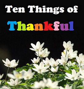 Ten Things of Thankful (TToT)