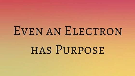 Even an Electron has Purpose