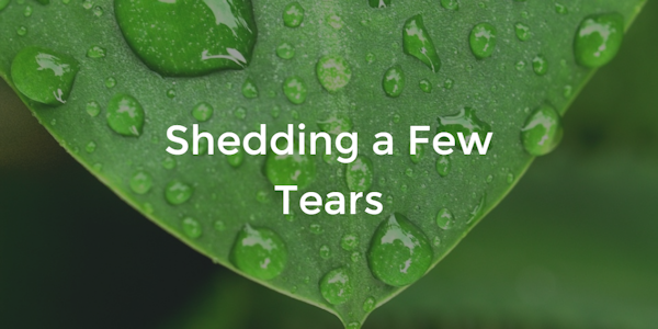 tears-on-plant
