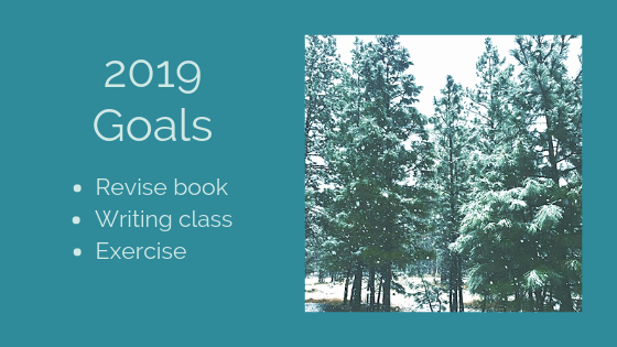 2019 Goals: Revise book, Writing class, Exercise